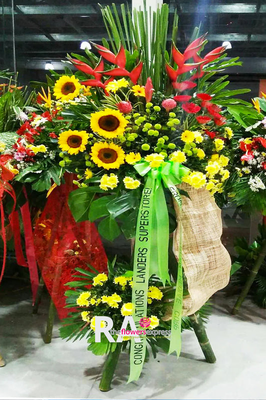 Clullosse Tropical Store Opening Flowers
