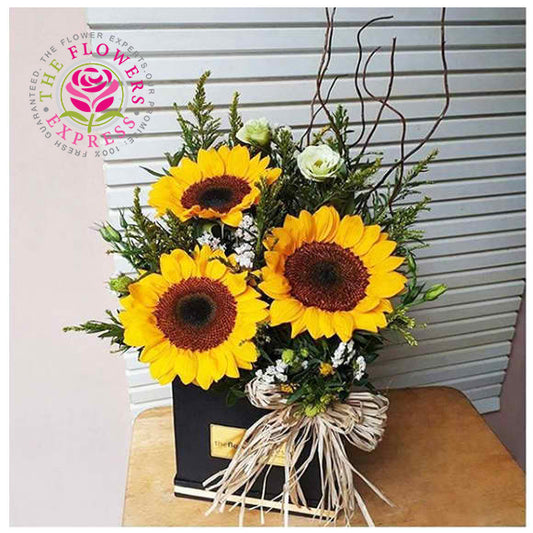 Monique Sun Bloombox